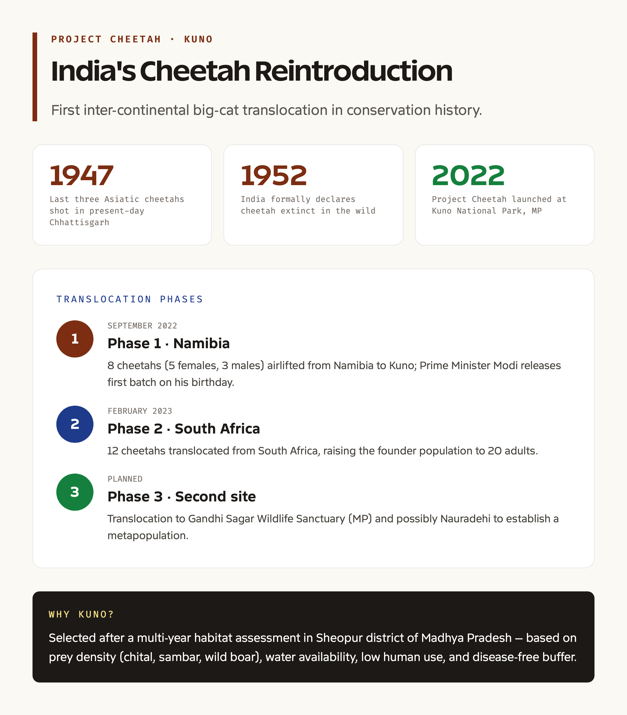 India's cheetah reintroduction timeline at Kuno