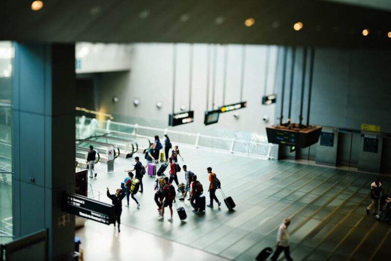 International migration
