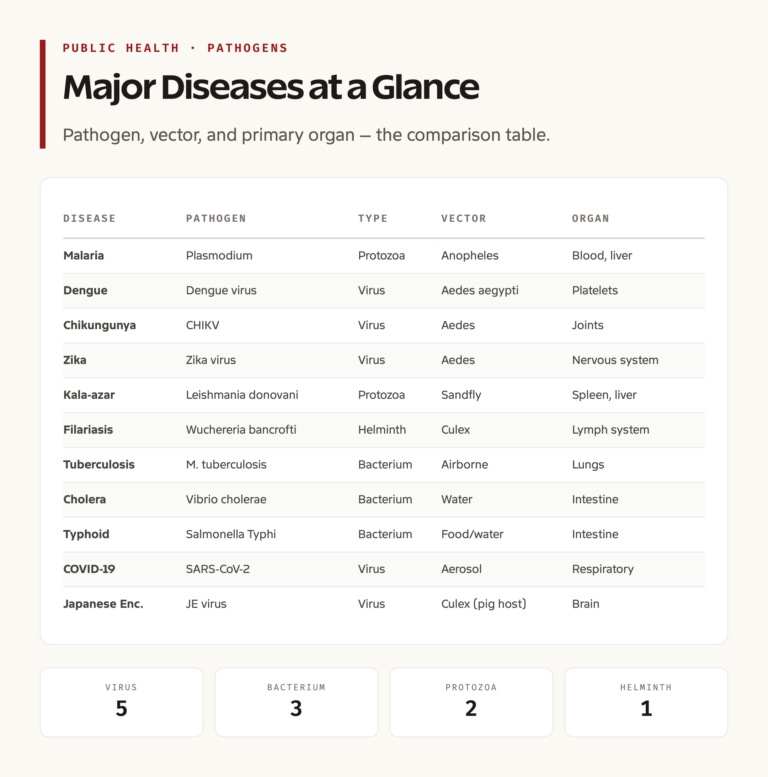 Major Diseases Compared: Pathogen, Vector, and Affected Organ