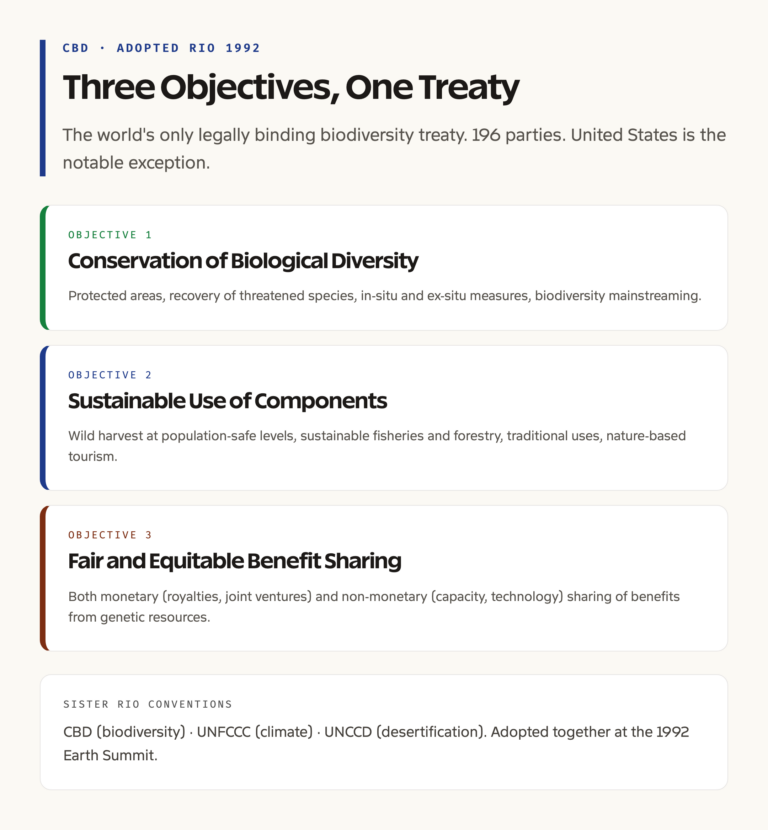 CBD 1992 Rio framework: three objectives diagram
