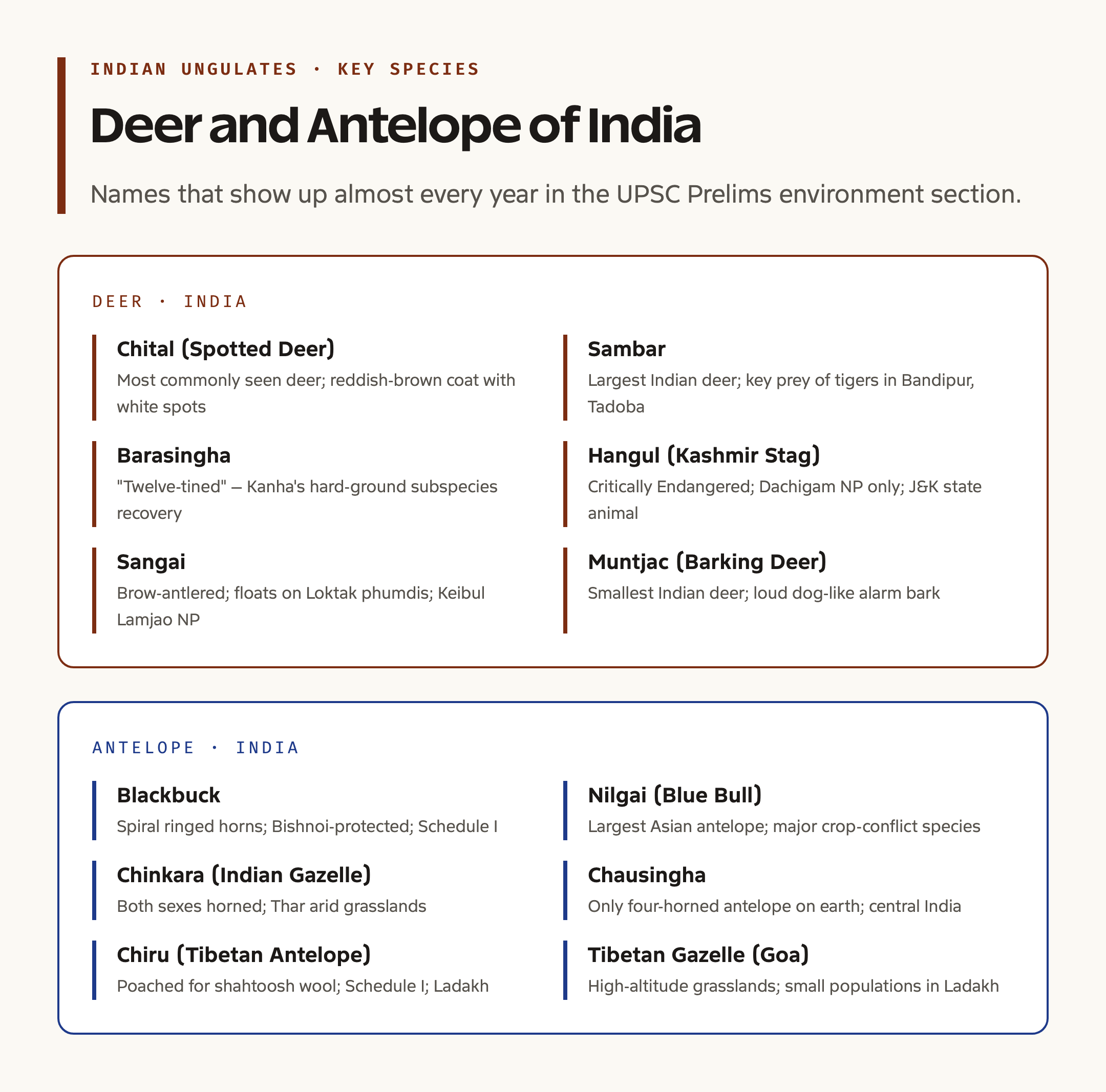 Indian deer and antelope species cards