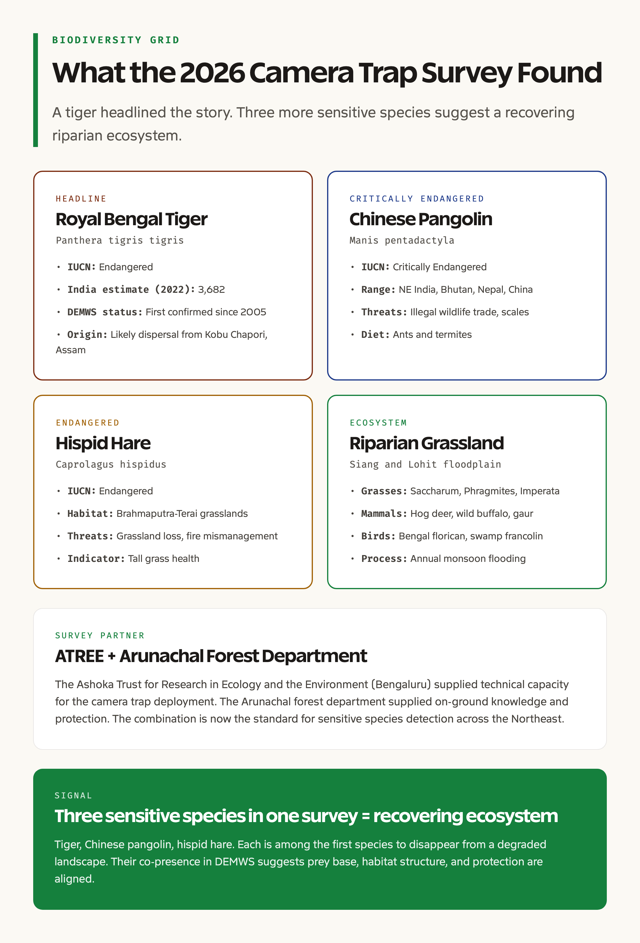 DEMWS biodiversity quick grid