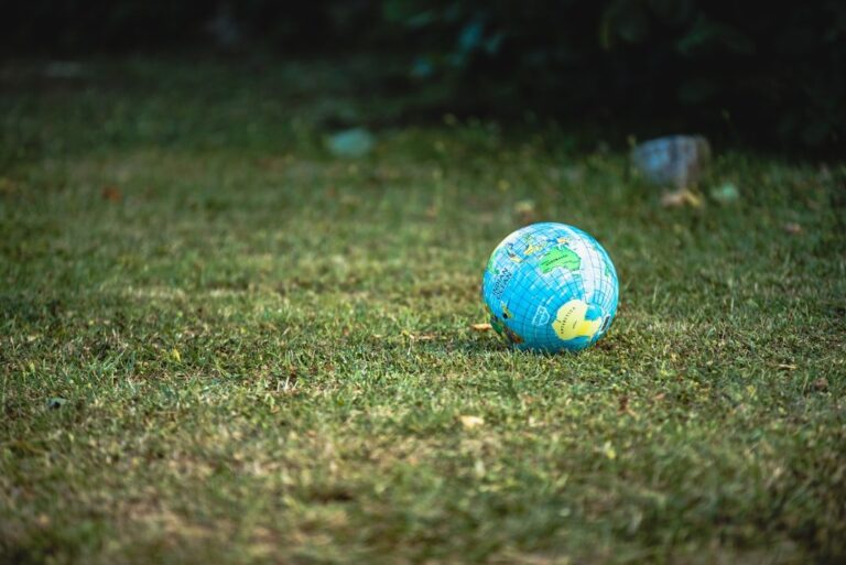Earth Day (22 April)