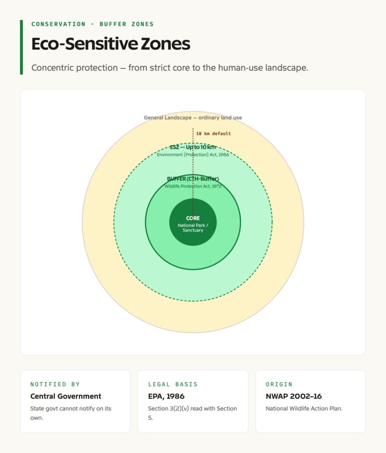 ESZ Buffer Zones: Concentric Protection Around Sanctuaries