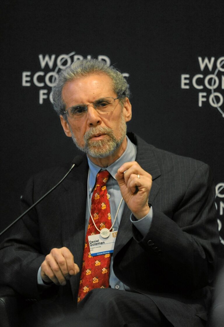 Emotional intelligence Goleman