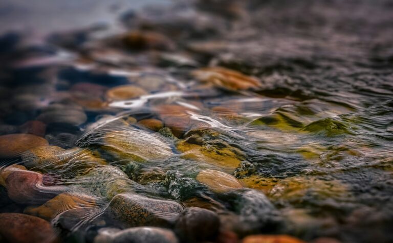 Stream flowing over smooth rocks — illustrating UPSC Mains essay topic You Cannot Step Twice in the Same River.