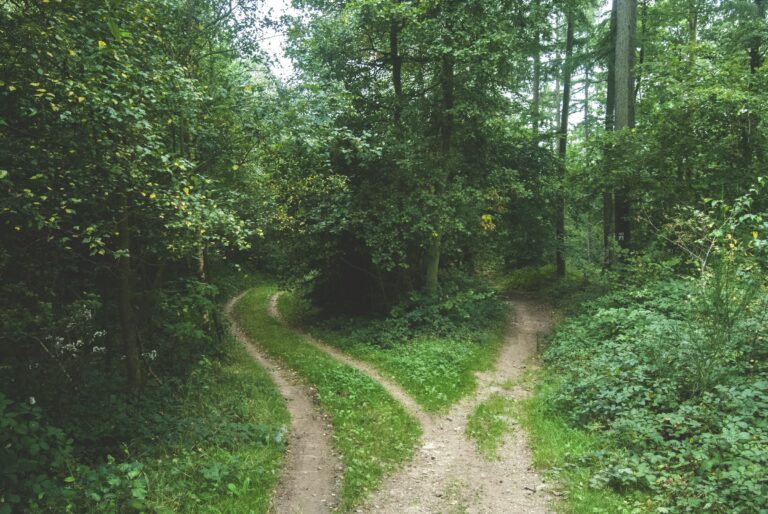 Featured image for UPSC Mains essay topic Freedom is the discipline of choosing what to refuse