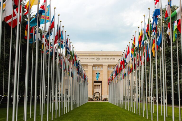 UPSC Mains essay topic Has the Non-Aligned Movement Lost Its Relevance in a Multi-Polar World — flags before a building symbolising international diplomacy