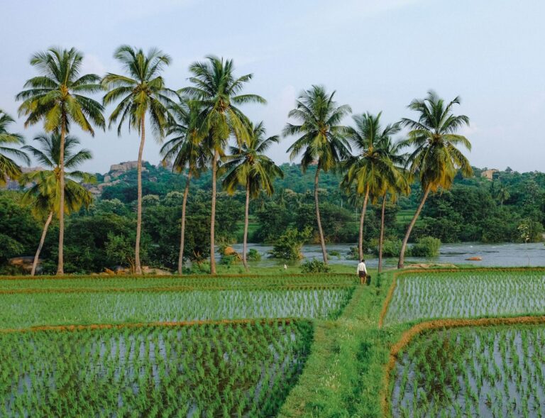 Rural landscape symbolising the link between poverty and prosperity — UPSC Mains essay topic Poverty Anywhere Is a Threat to Prosperity Everywhere.