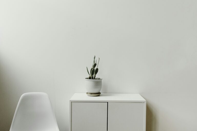 Minimalist white desk and potted plant — visual metaphor for UPSC Mains essay topic Simplicity is the Ultimate Sophistication
