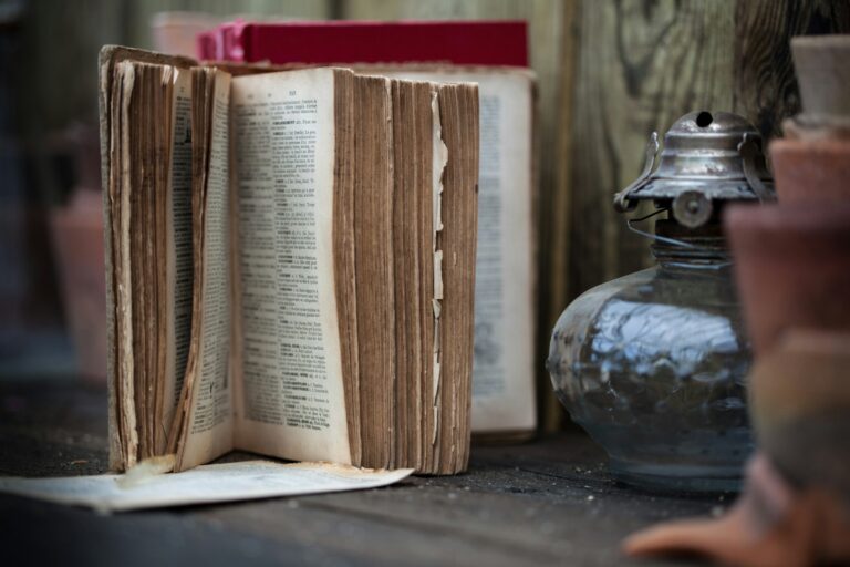 Open book on focus photography — UPSC Mains essay topic Wisdom Finds Truth