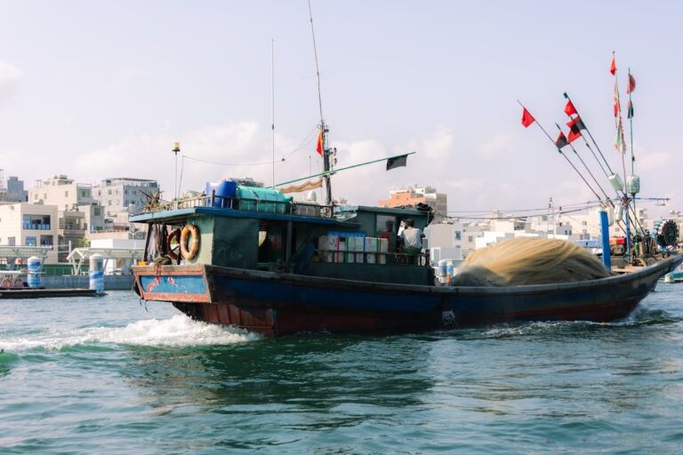 FAO Blue Transformation and the Four Betters: Aquatic Food Systems Vision