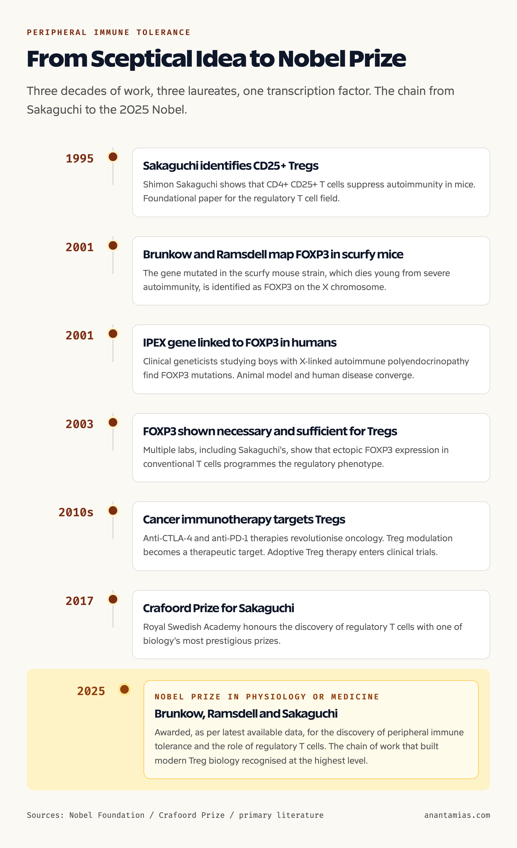 Peripheral immune tolerance: from Sakaguchi 1995 to the 2025 Nobel Prize