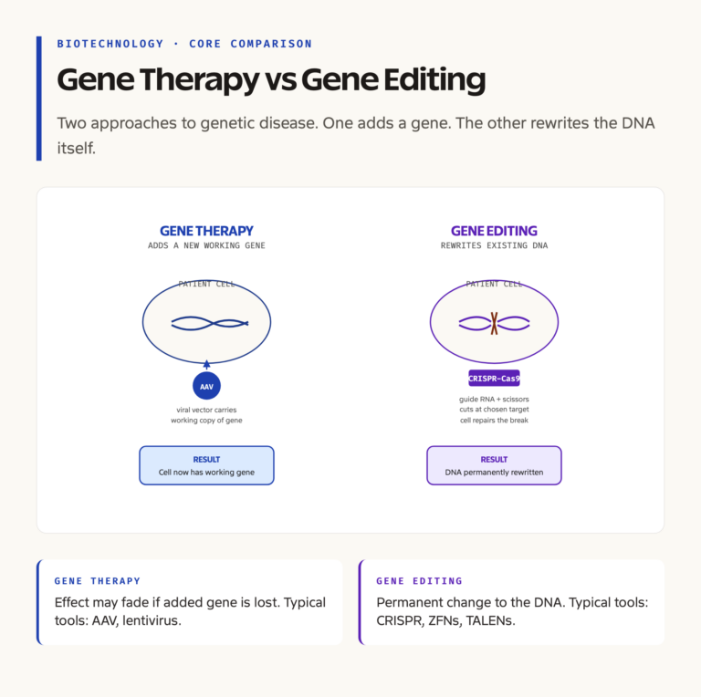 Gene Therapy vs Gene Editing: Process Diagram Comparison