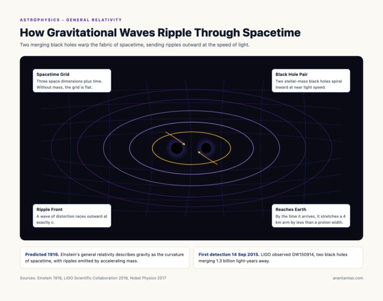 How Gravitational Waves Ripple Through Spacetime