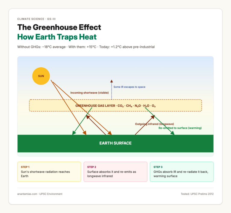 Greenhouse Effect: How Earth Traps Heat