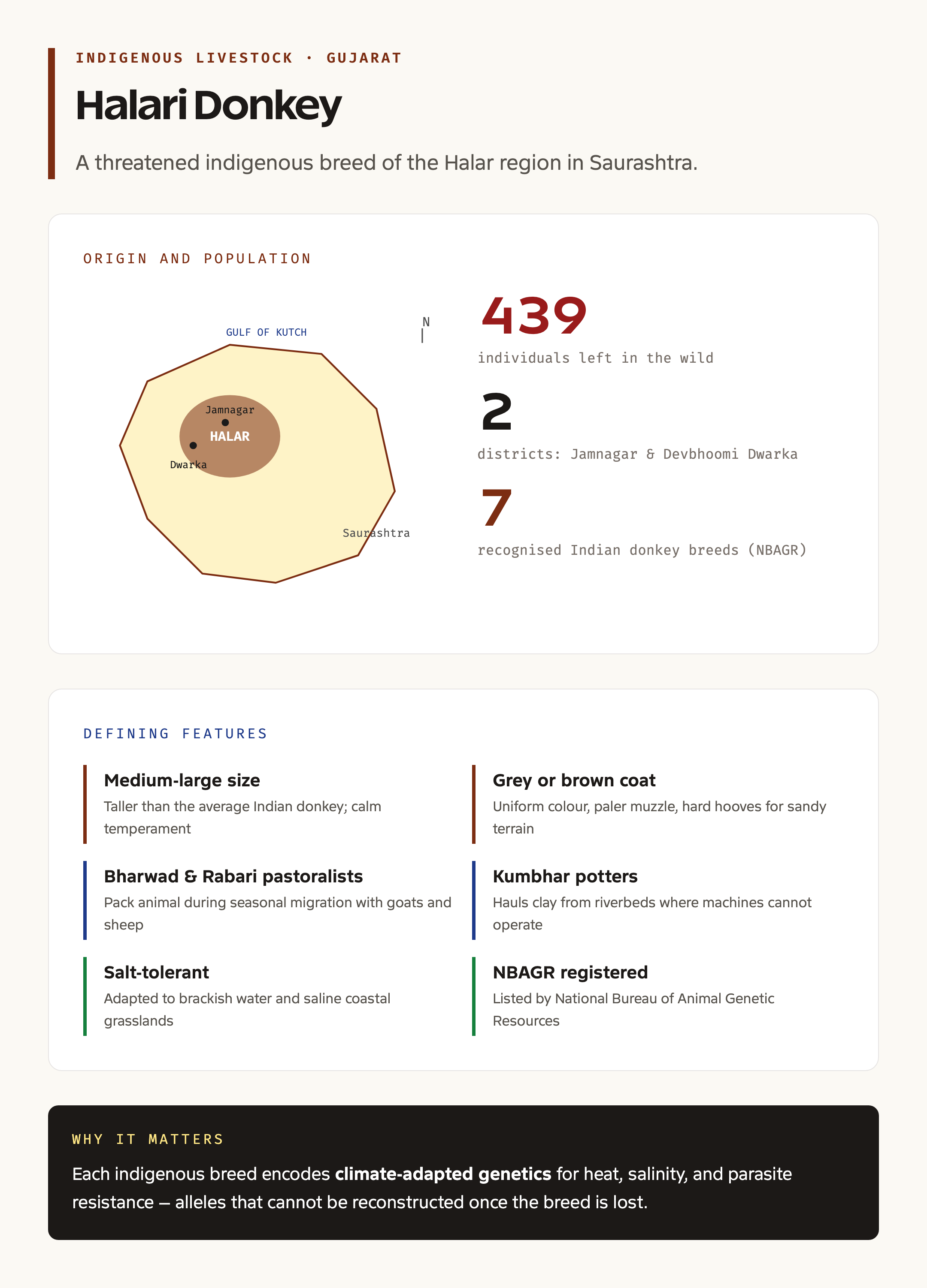 Halari donkey origin and population snapshot