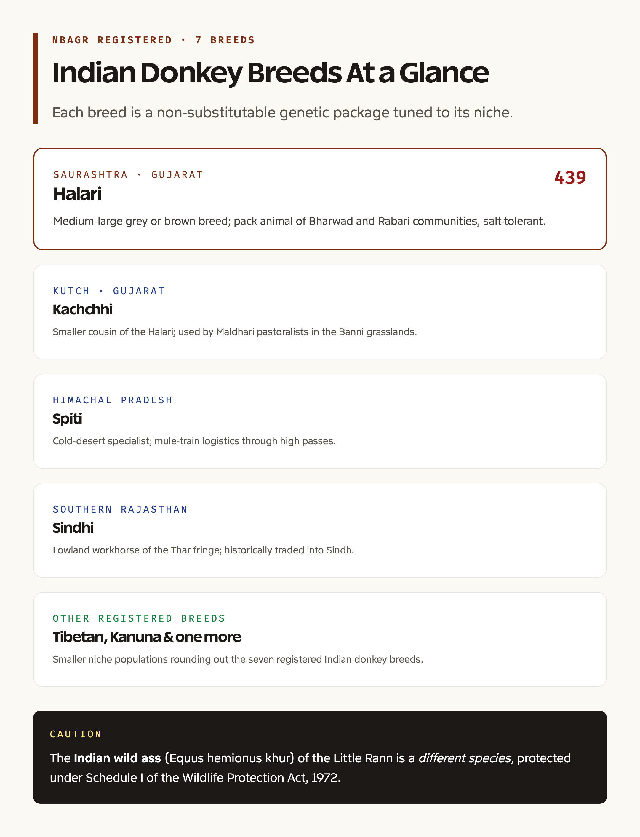 Indian donkey breeds comparison card