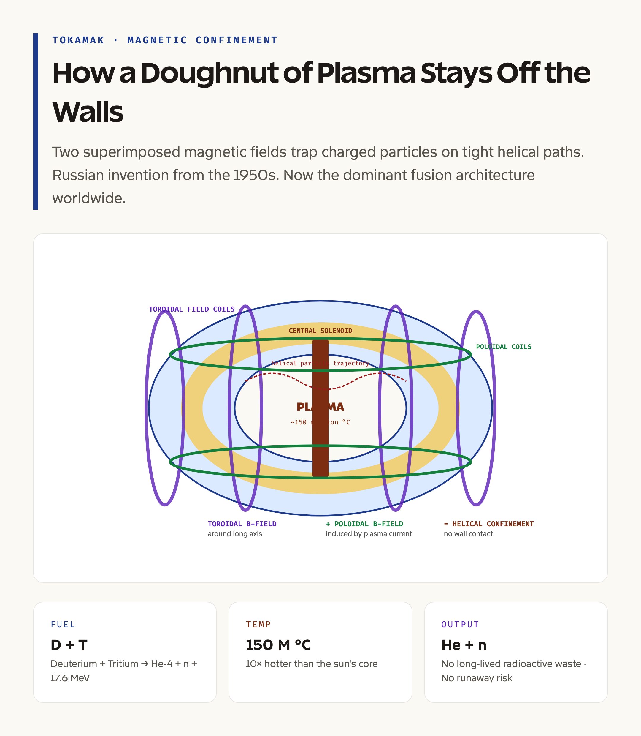 Inside a Tokamak: How Magnetic Coils Confine a Hot Plasma in a Doughnut