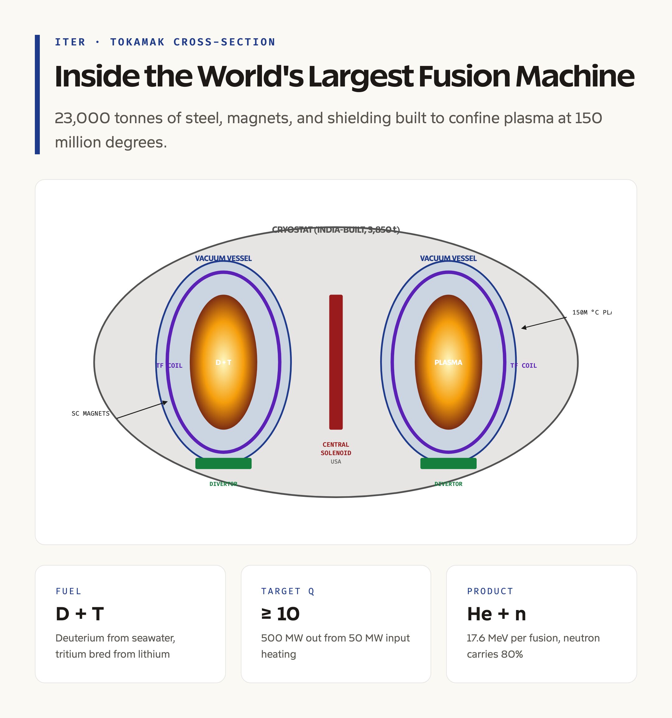 Inside the ITER Tokamak: Cross-Section of the World's Largest Fusion Machine