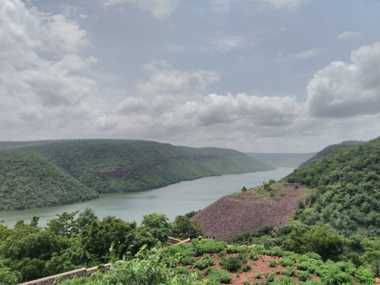 Krishna River backwaters