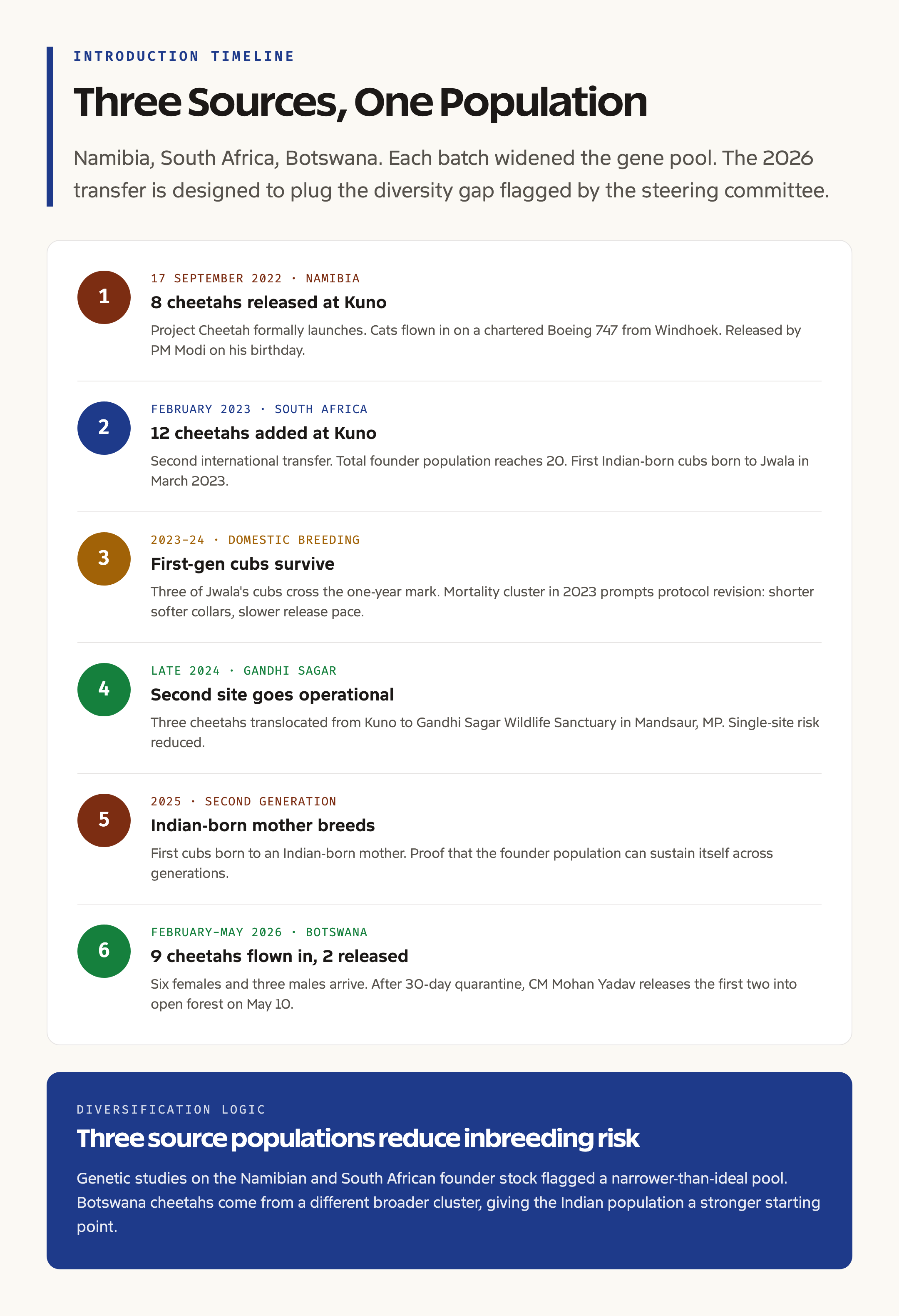 Project Cheetah introduction batches timeline