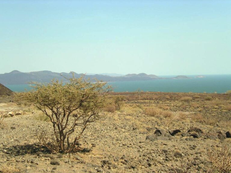 Lake Turkana Kenya