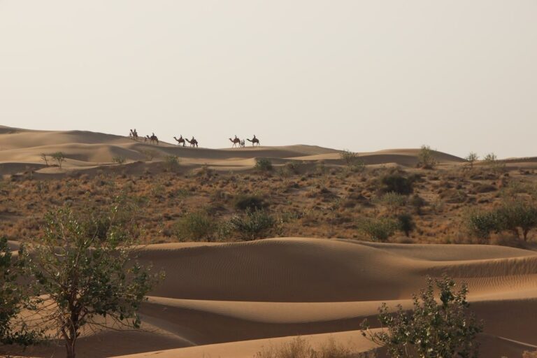 Thar Desert dunes in Rajasthan, India's largest state by area