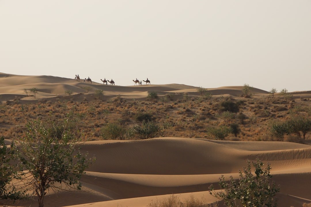 Thar Desert dunes in Rajasthan, India's largest state by area