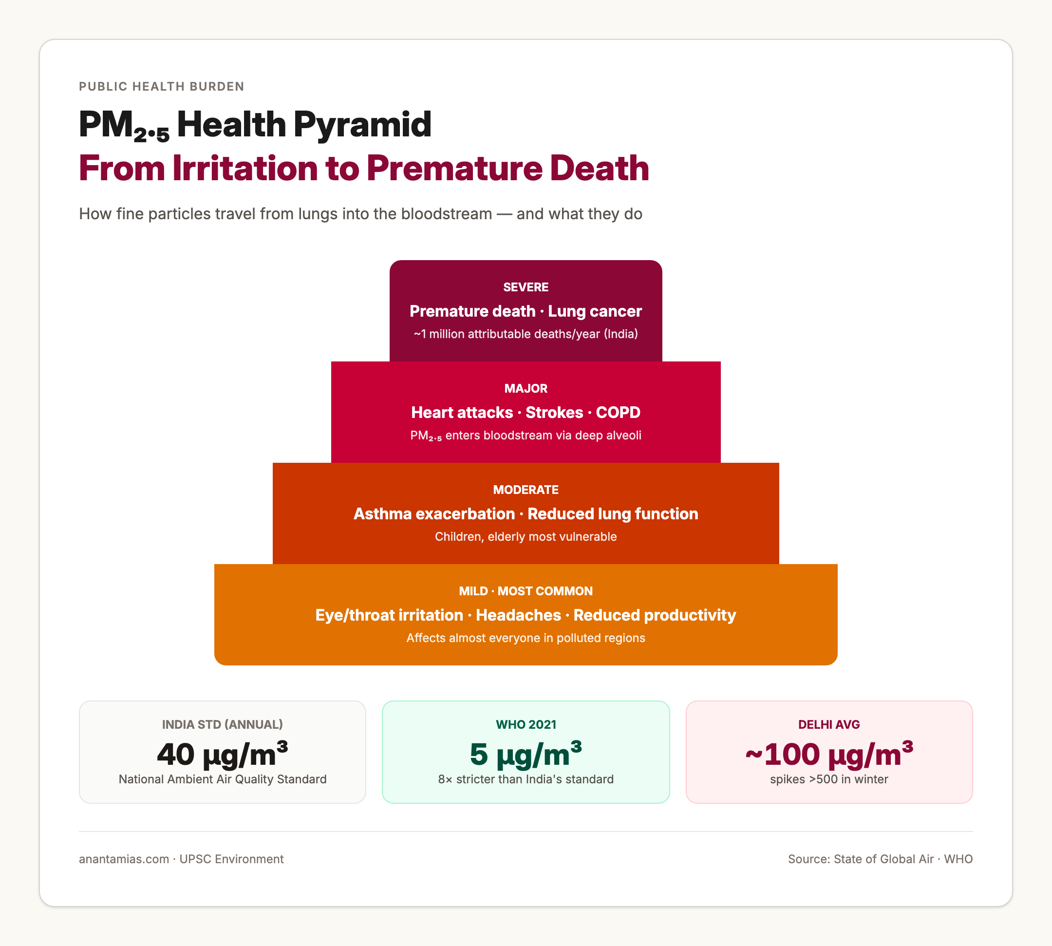 Health Impact Pyramid of PM2.5 Exposure