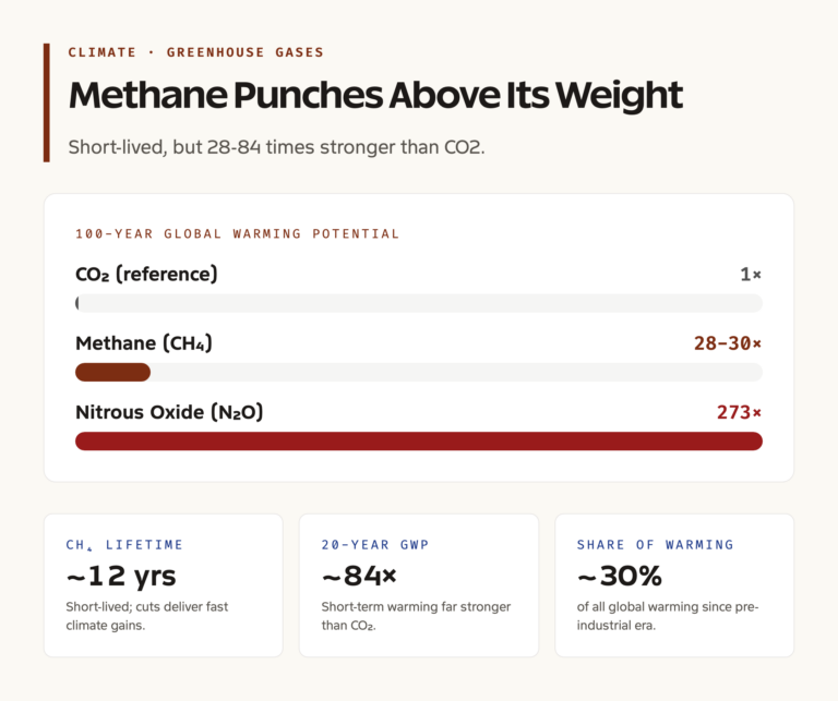 Global Warming Potential Comparison: CO2 vs CH4 vs N2O