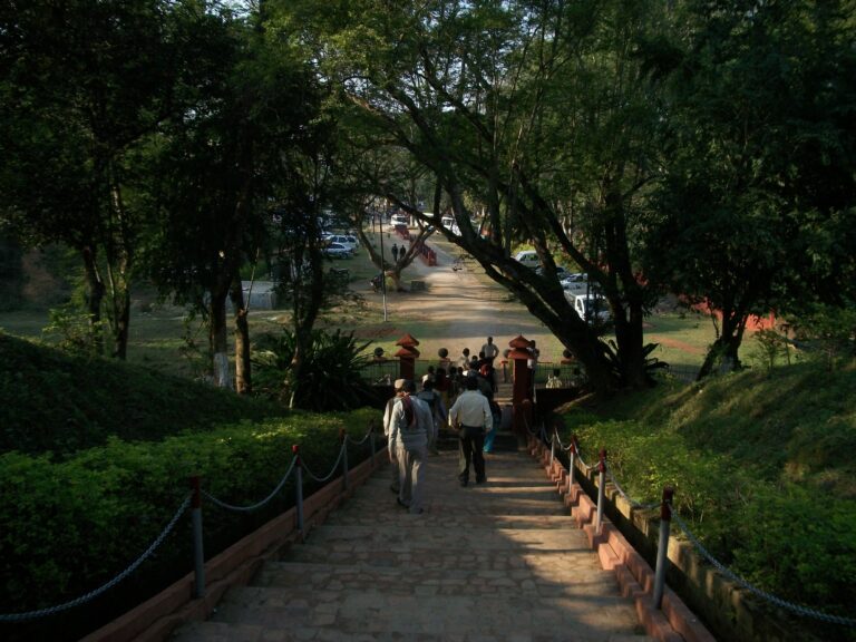 Moidams at Charaideo, Assam
