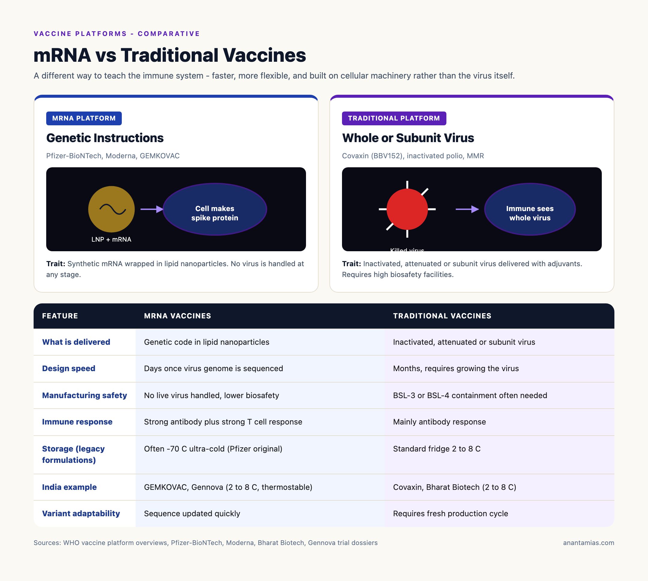 mRNA vs Traditional Vaccines: Side-by-Side Comparison