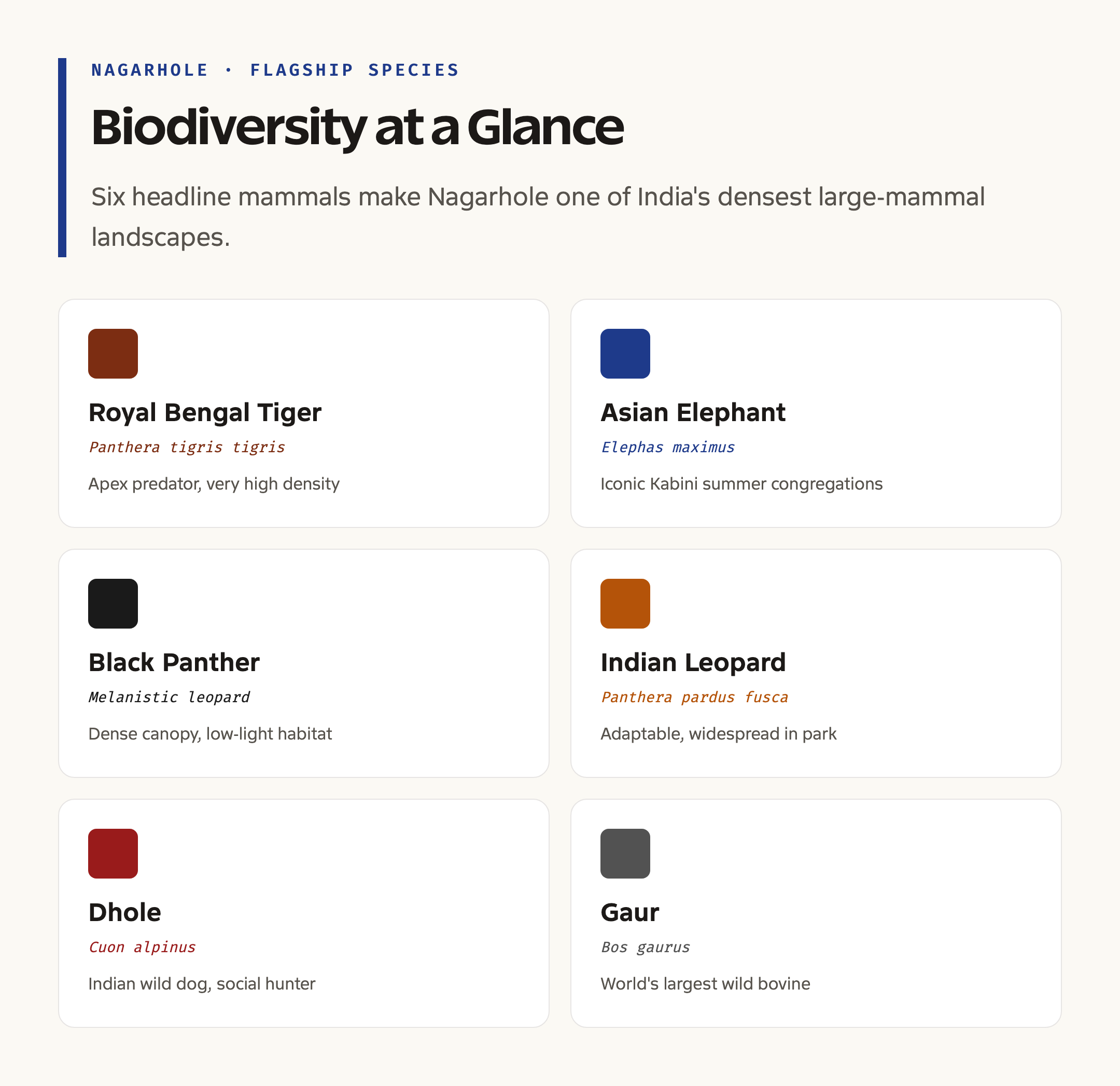 Nagarhole biodiversity grid: flagship species cards