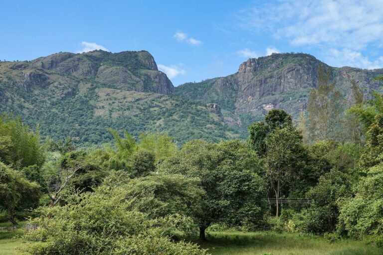 Nilgiri Hills — featured image
