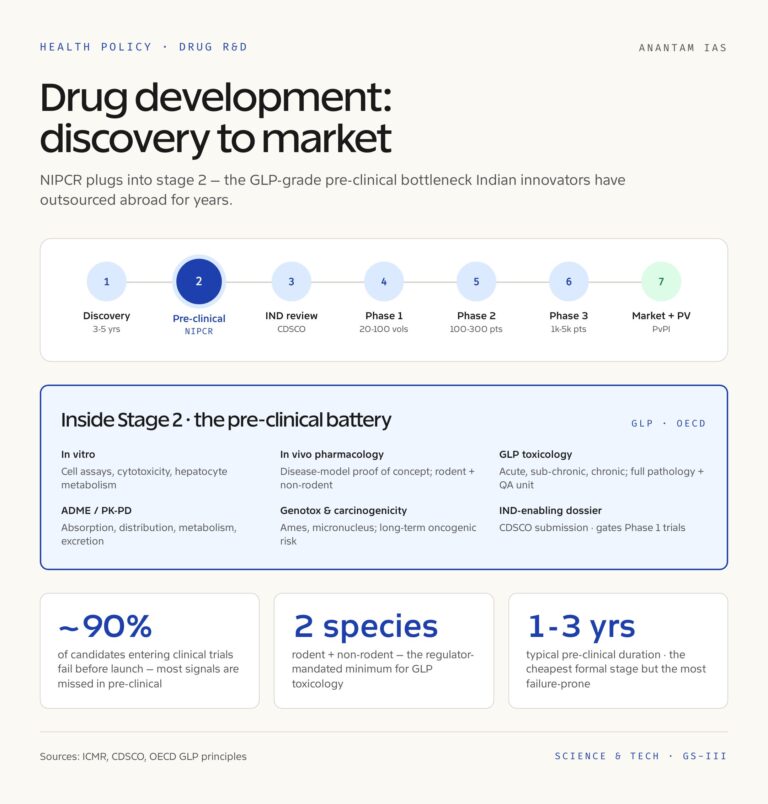 Drug Development Pipeline: Discovery to Market