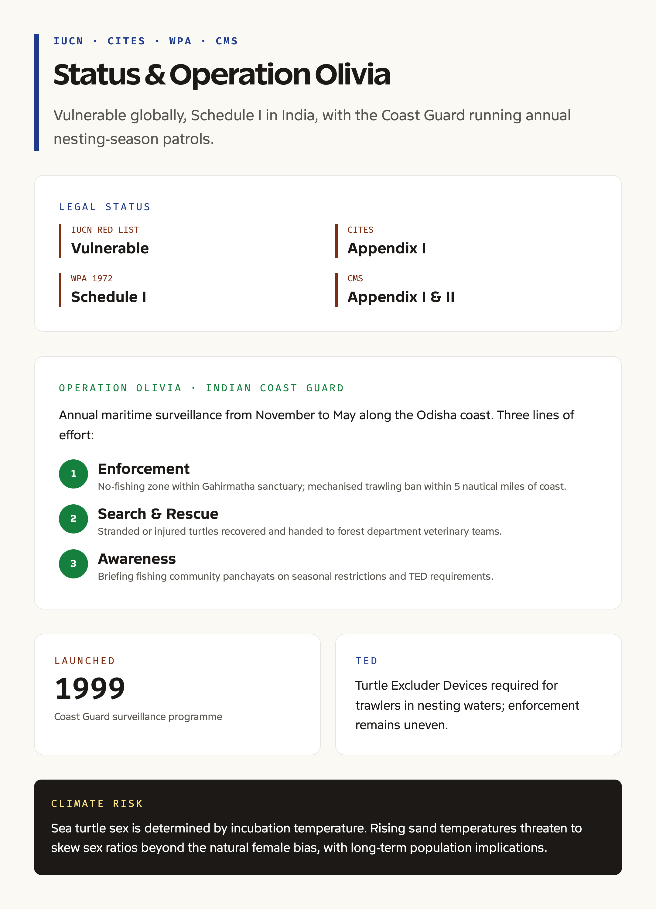 Olive Ridley conservation status and Operation Olivia card