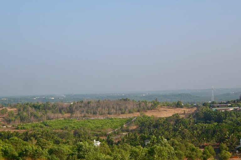 Peninsular India landscape