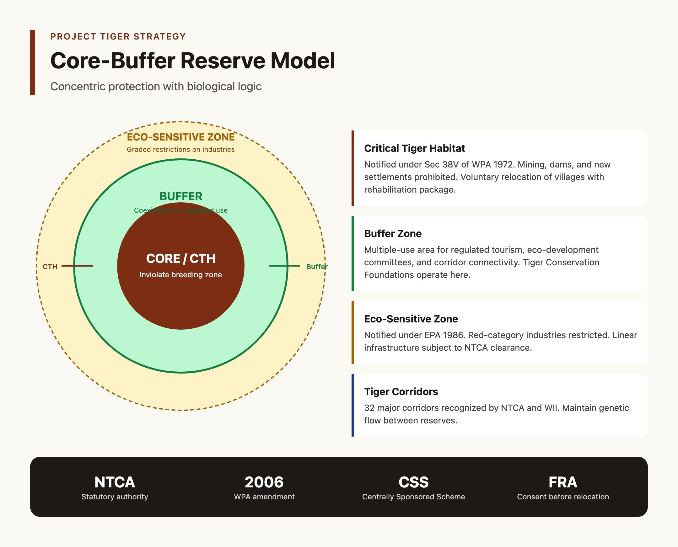 Project Tiger Core-Buffer Strategy Diagram