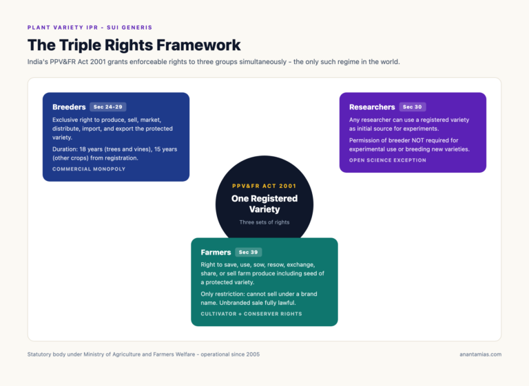 Triple Rights Framework Under the PPV&FR Act 2001