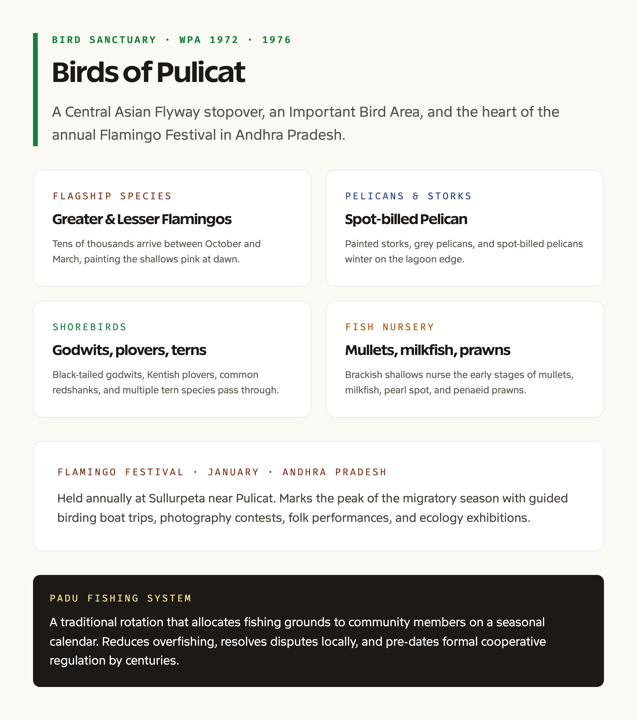 Pulicat ecology bird sanctuary and flamingo migration card