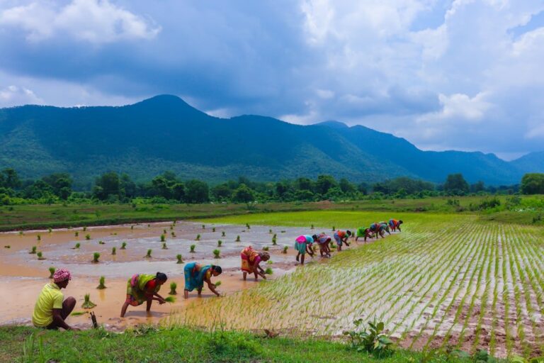 Rainfed Area Development (RAD) under NMSA: Integrated Farming for Climate Risk
