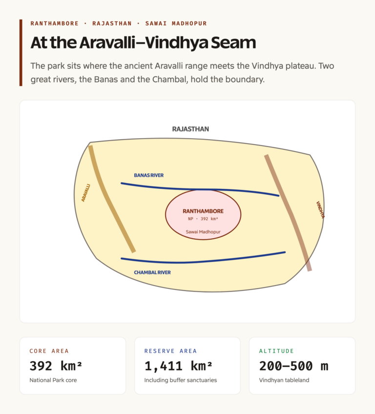 Ranthambore Location and Aravalli-Vindhya Ecotone
