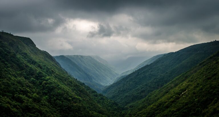 Khasi Hills Meghalaya forest