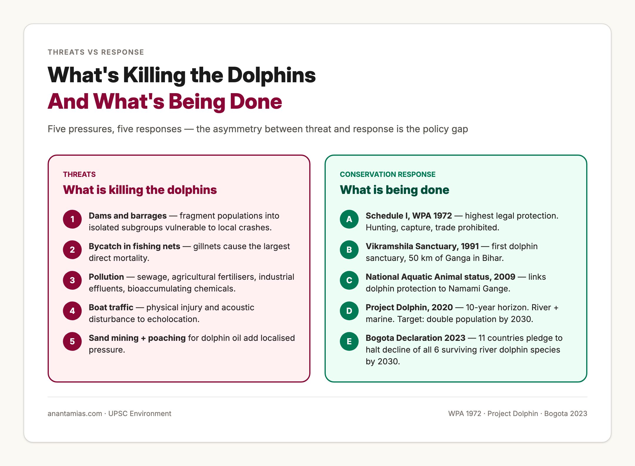 Threats to River Dolphins and Conservation Response