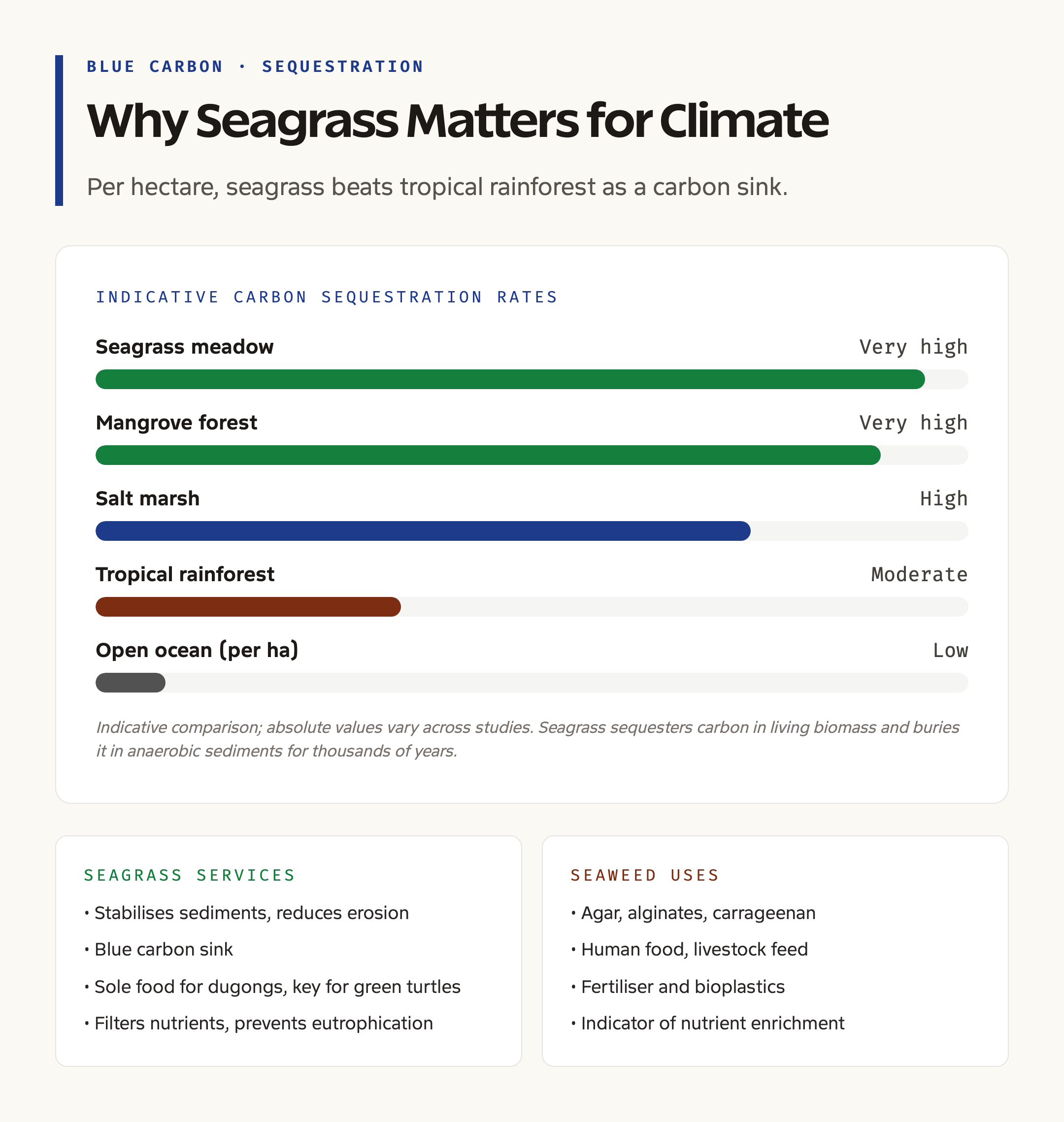 Ecosystem Services and Blue Carbon Sequestration