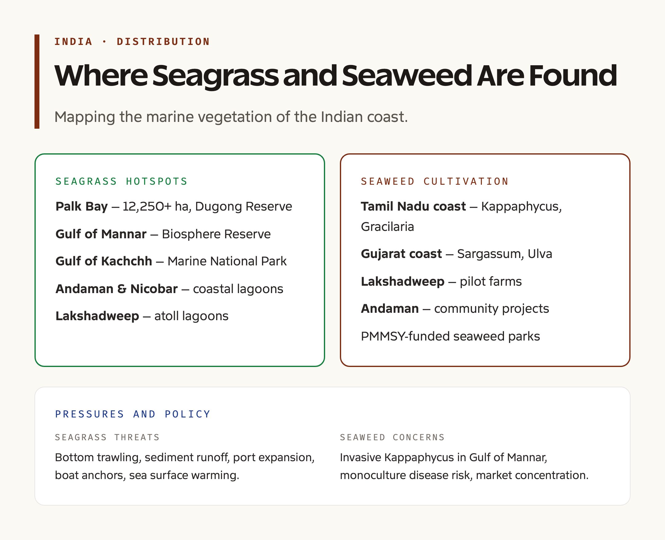 India Distribution: Where Seagrass and Seaweed Are Found