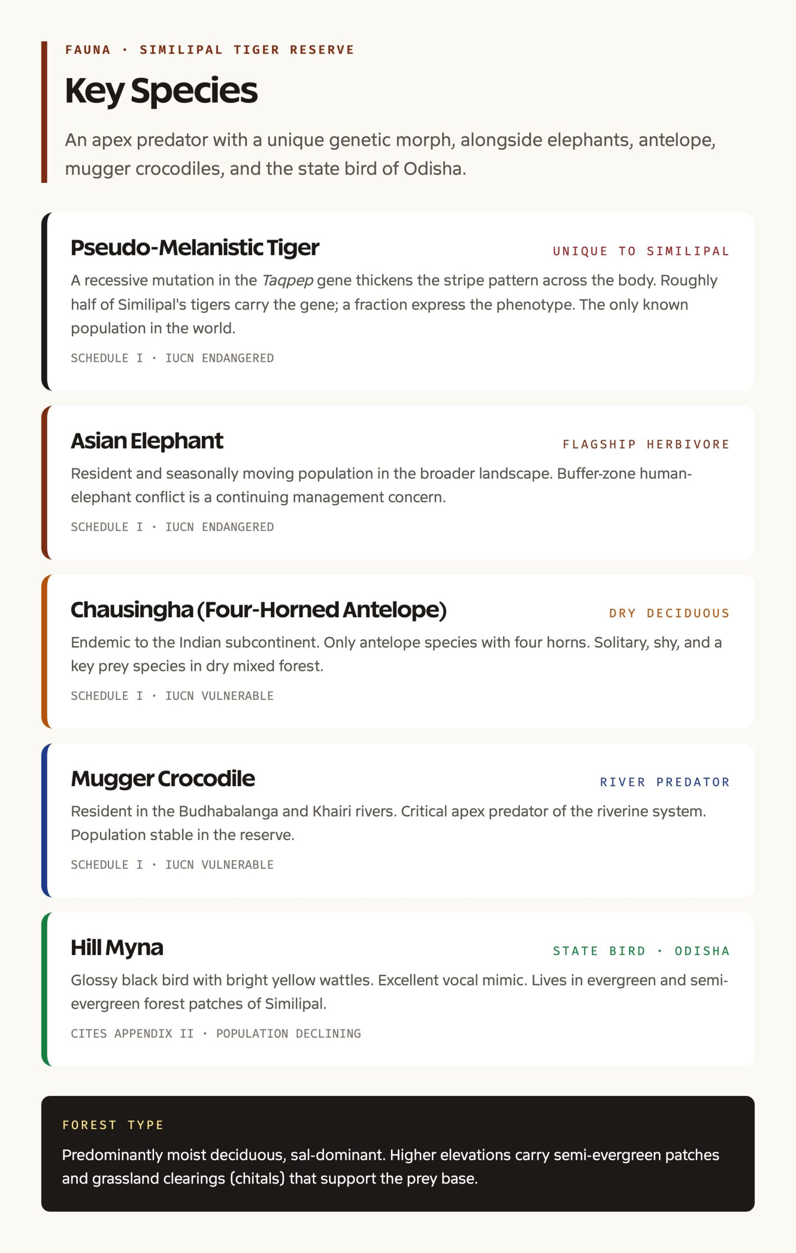 Melanistic tiger and key species grid Similipal