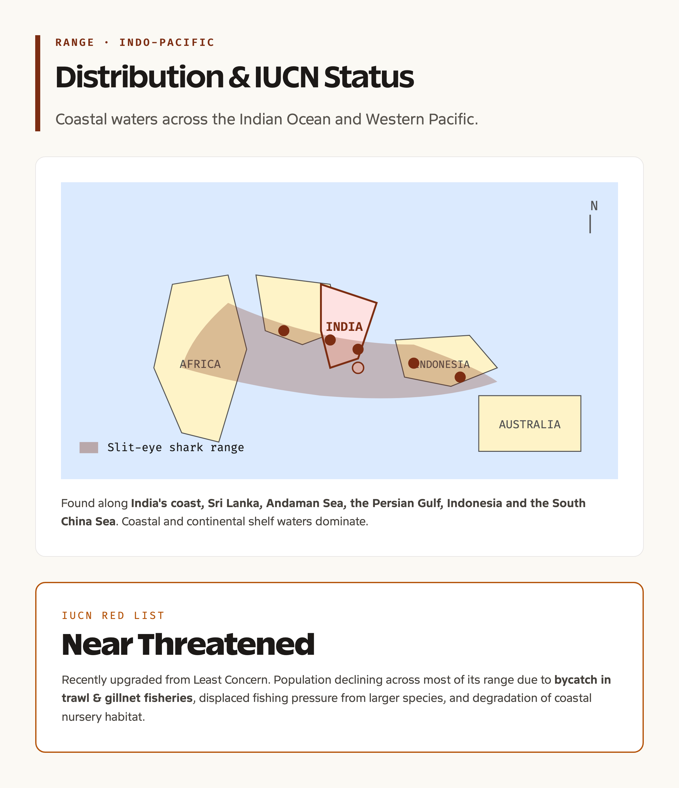Indo-Pacific range map of the slit-eye shark and IUCN status