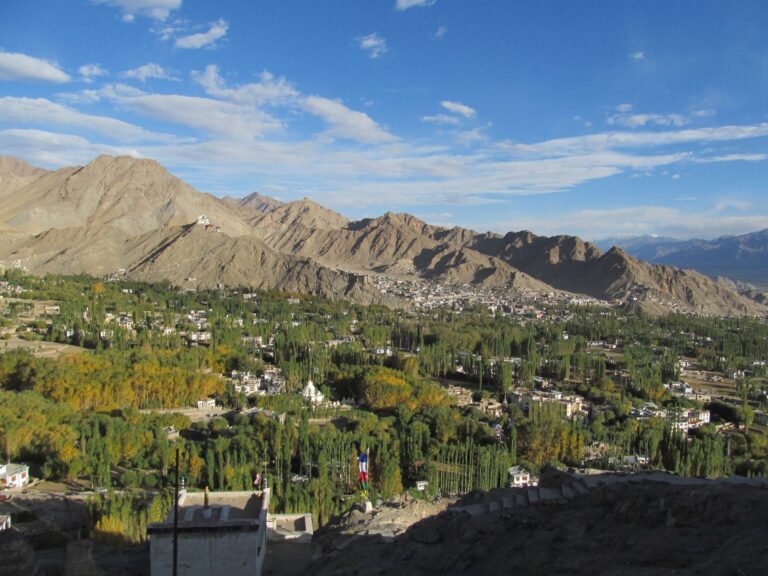 Leh town in Ladakh with the Himalayas in the background